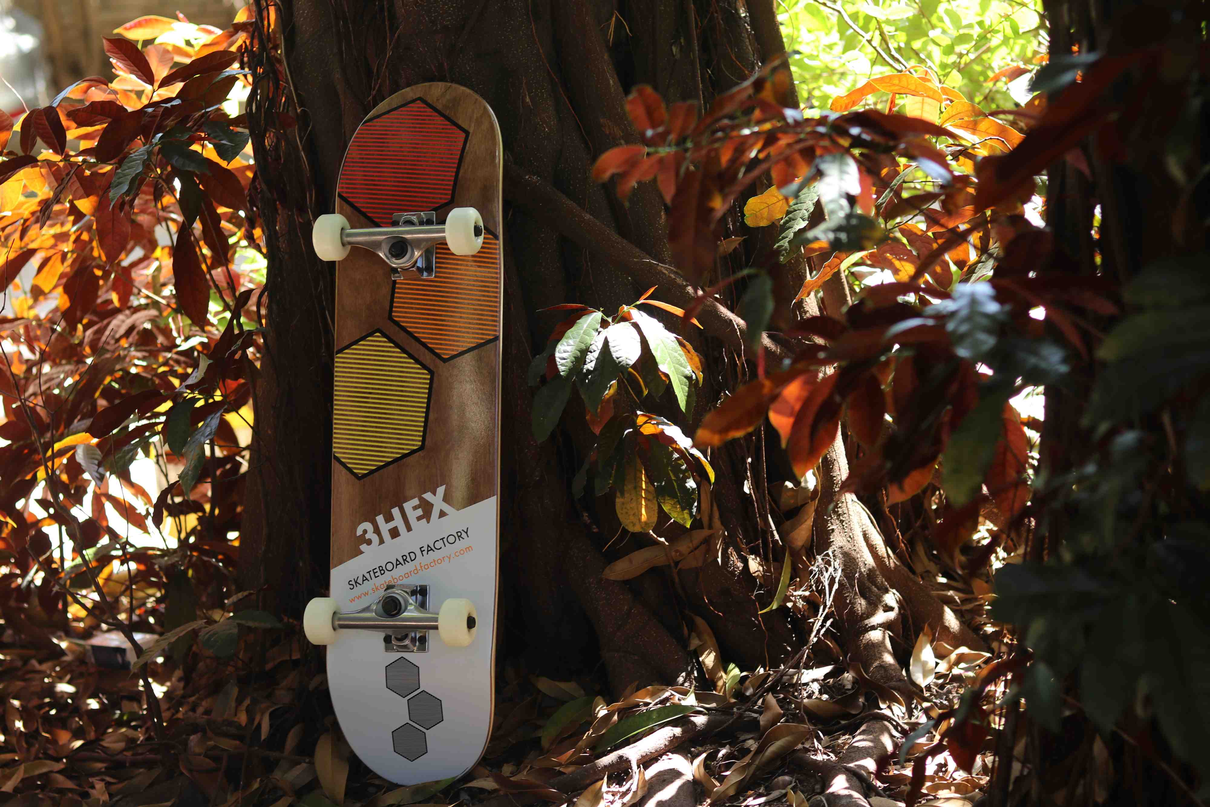 2hex complete skateboard sample outside in natural lighting 2