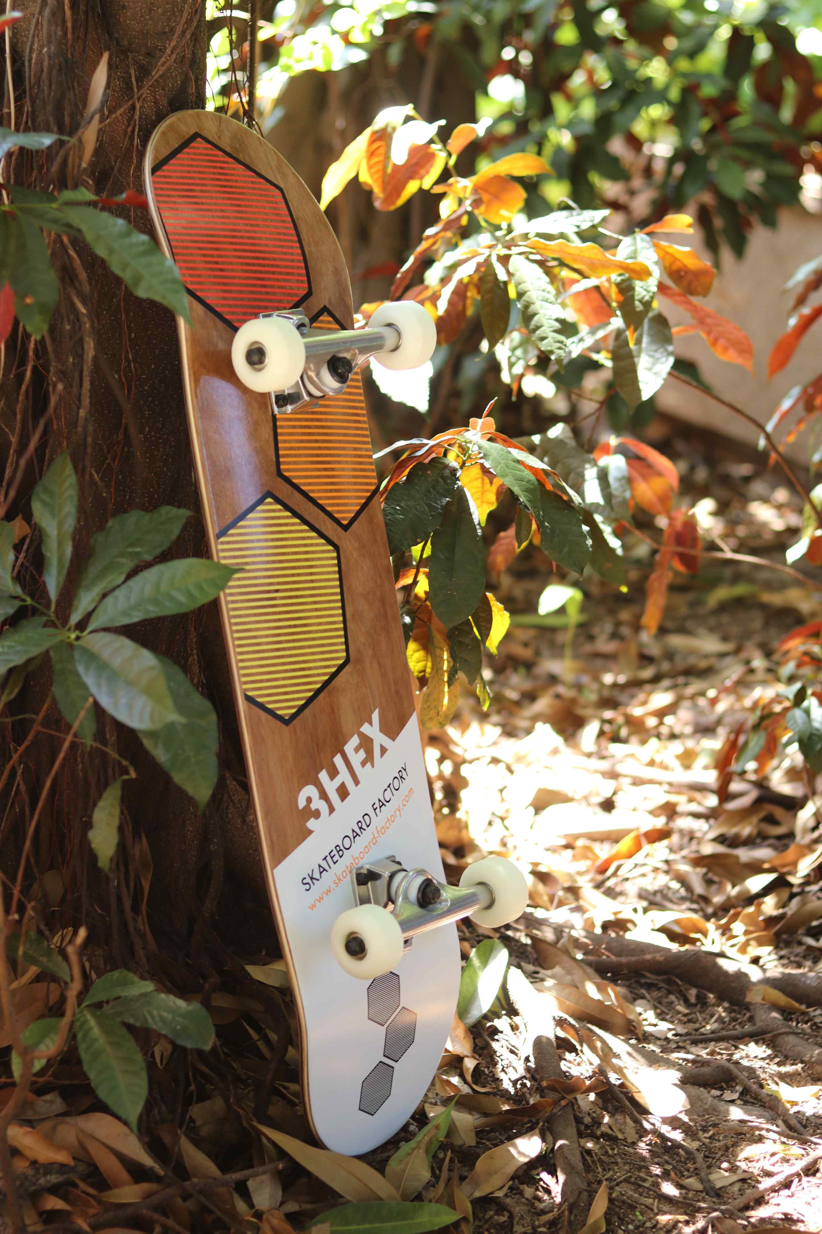 2hex complete skateboard sample outside in natural lighting