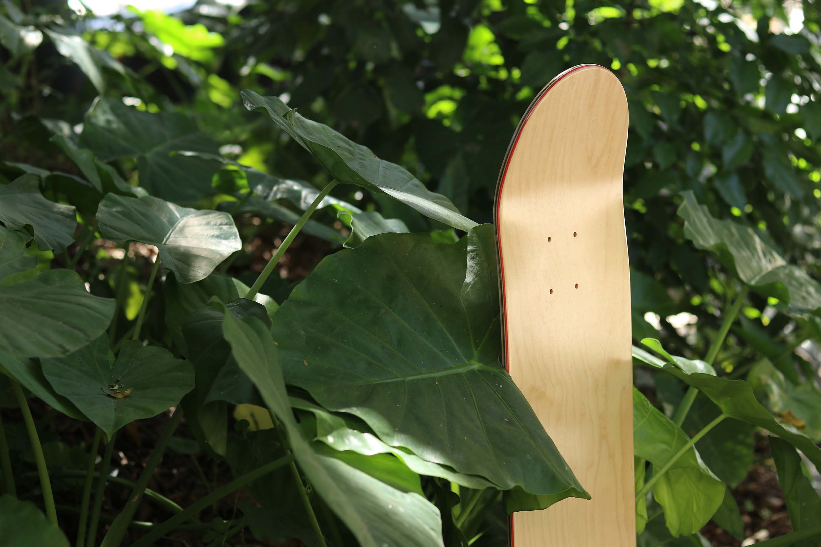 skateboard deck sample by 2hex