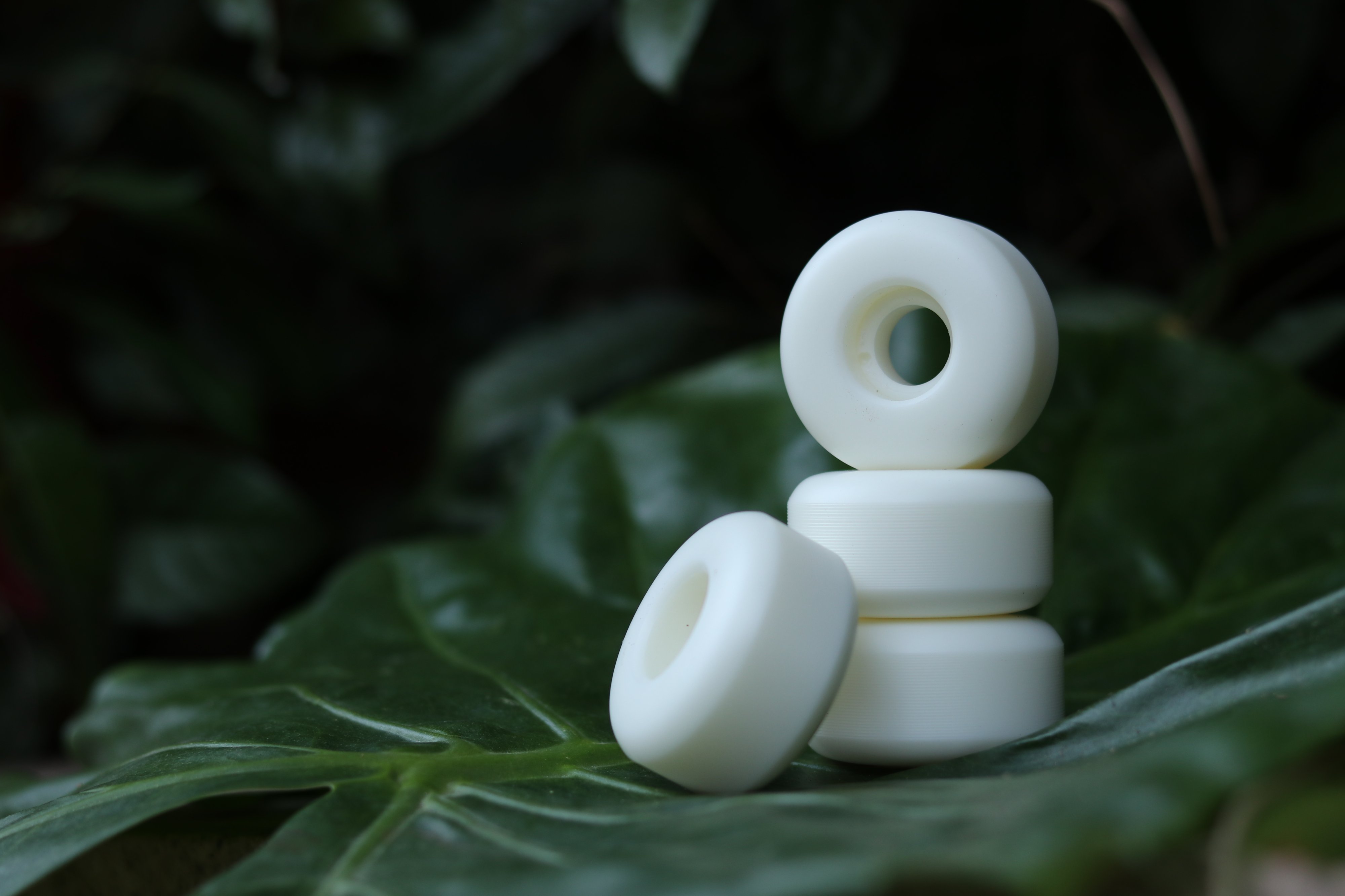 white wheel samples on a leaf