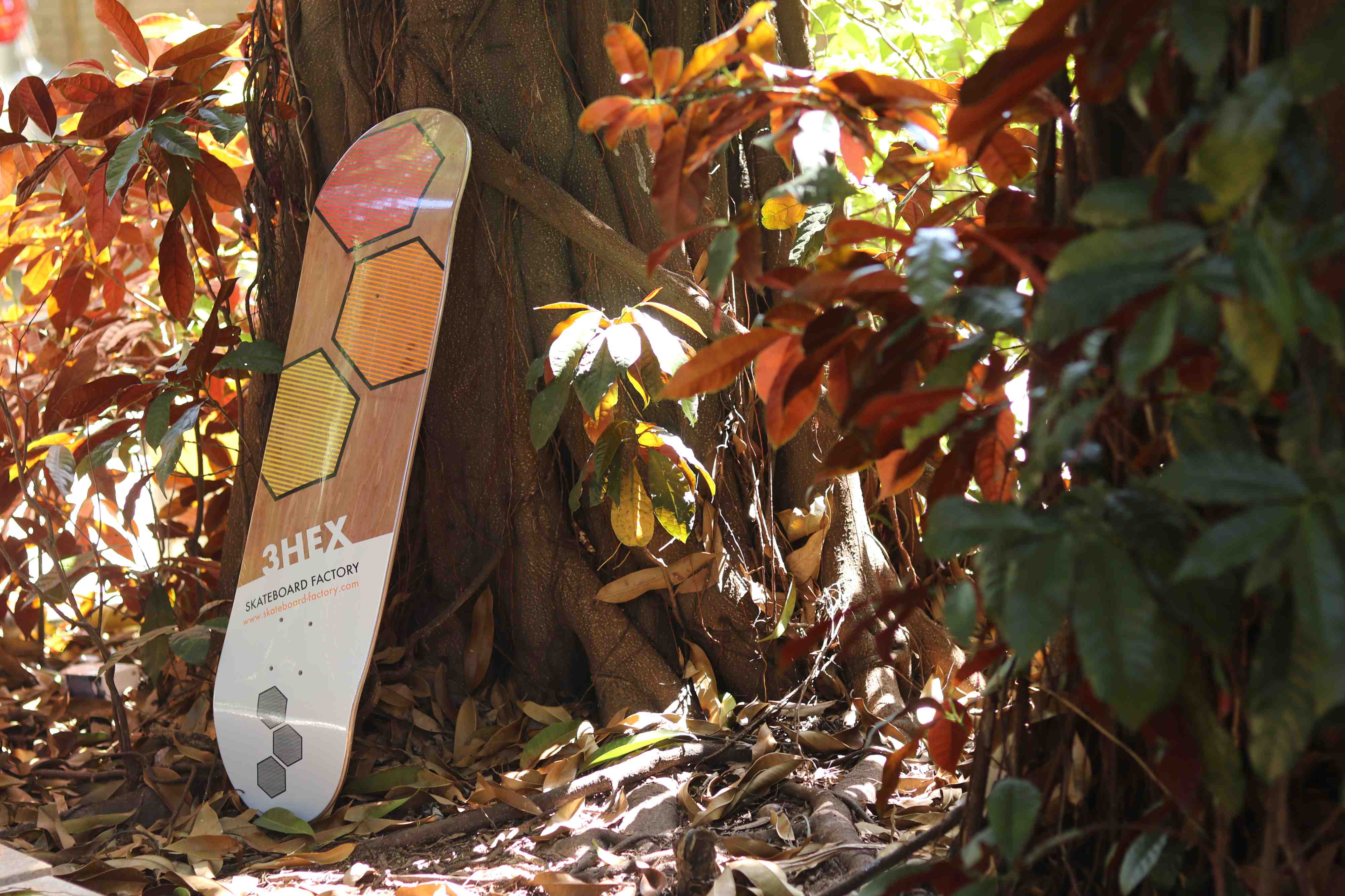 2hex skateboard deck on display outside