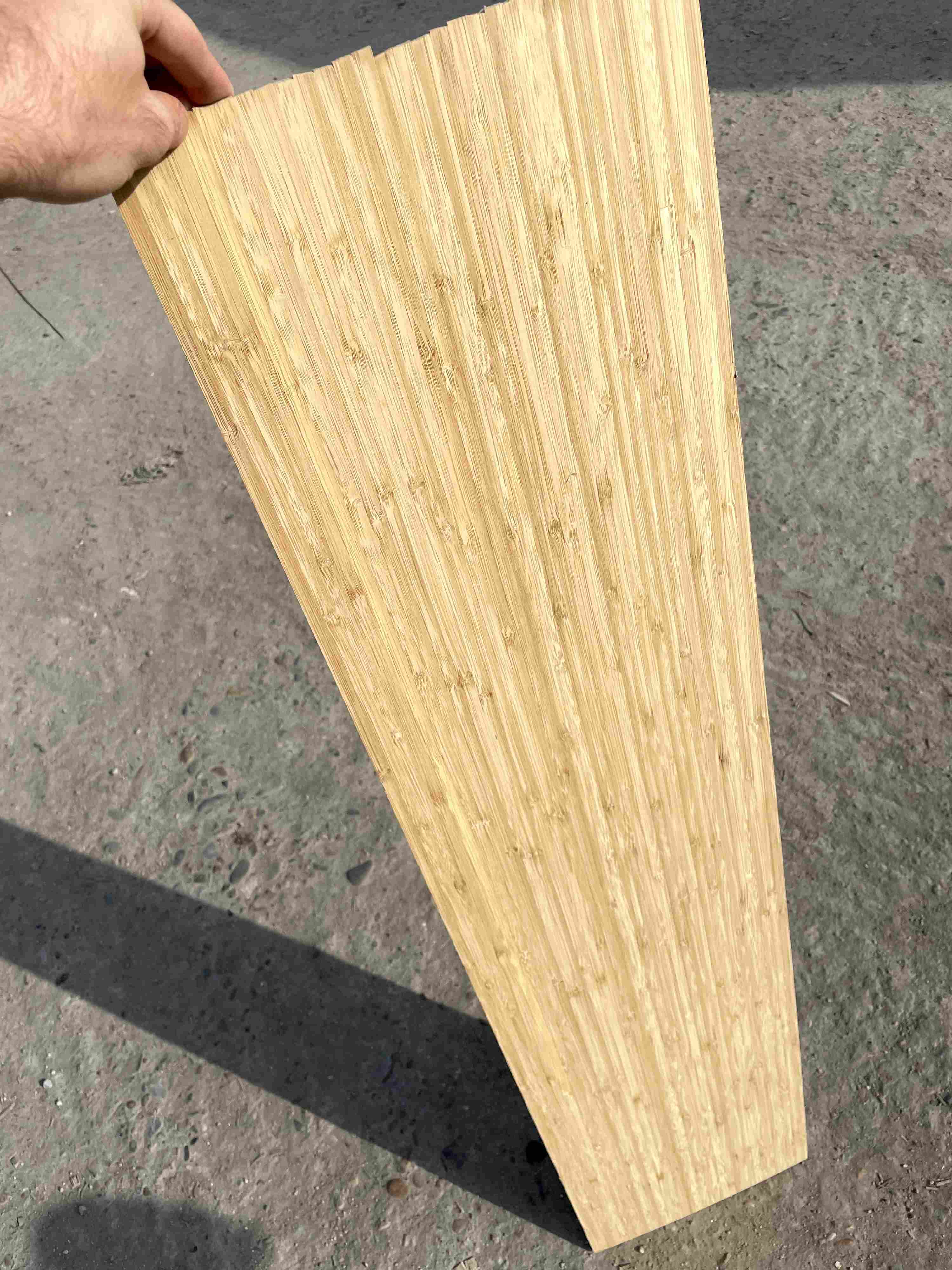 skateboard veneer samples