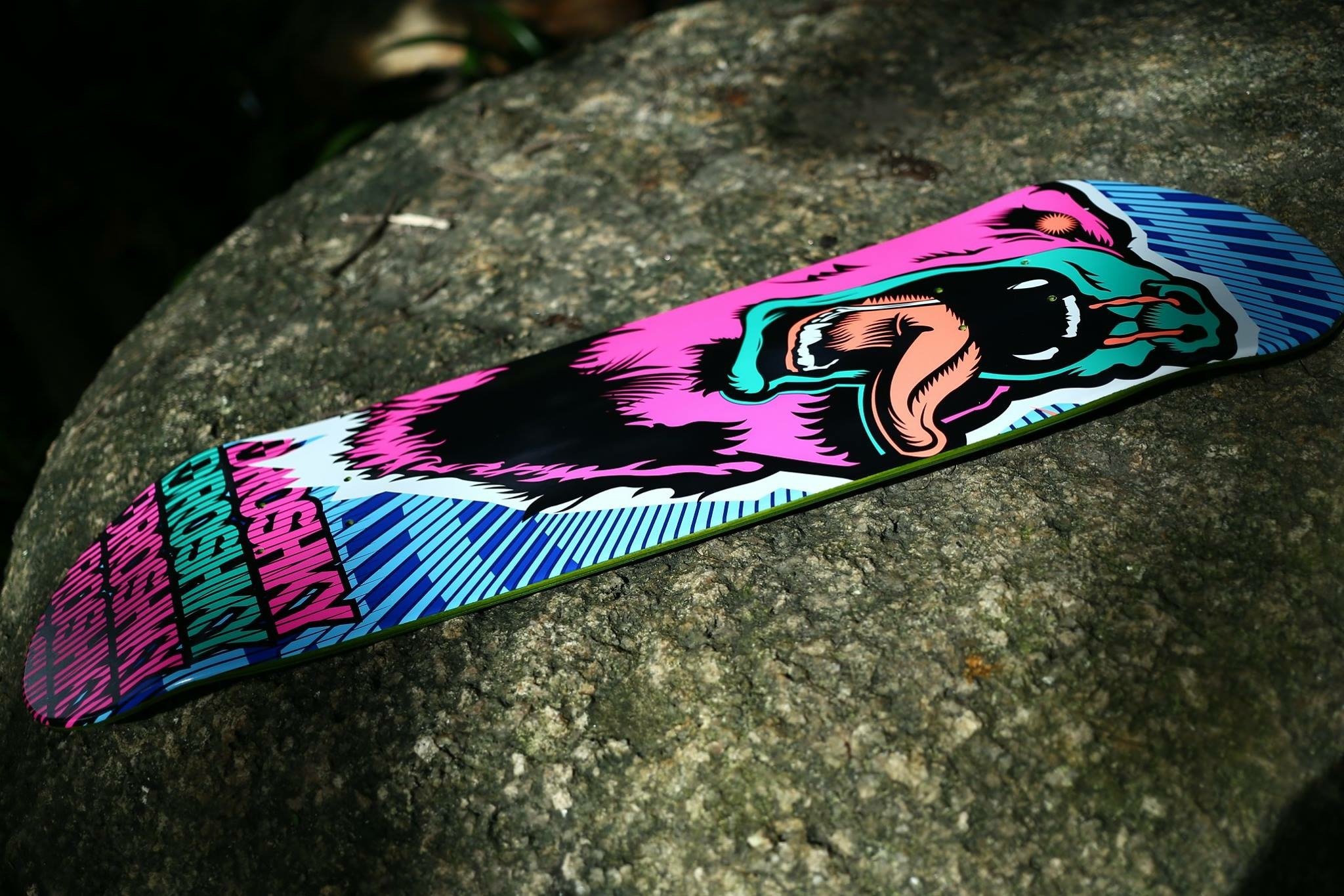 droshky pink bear graphic